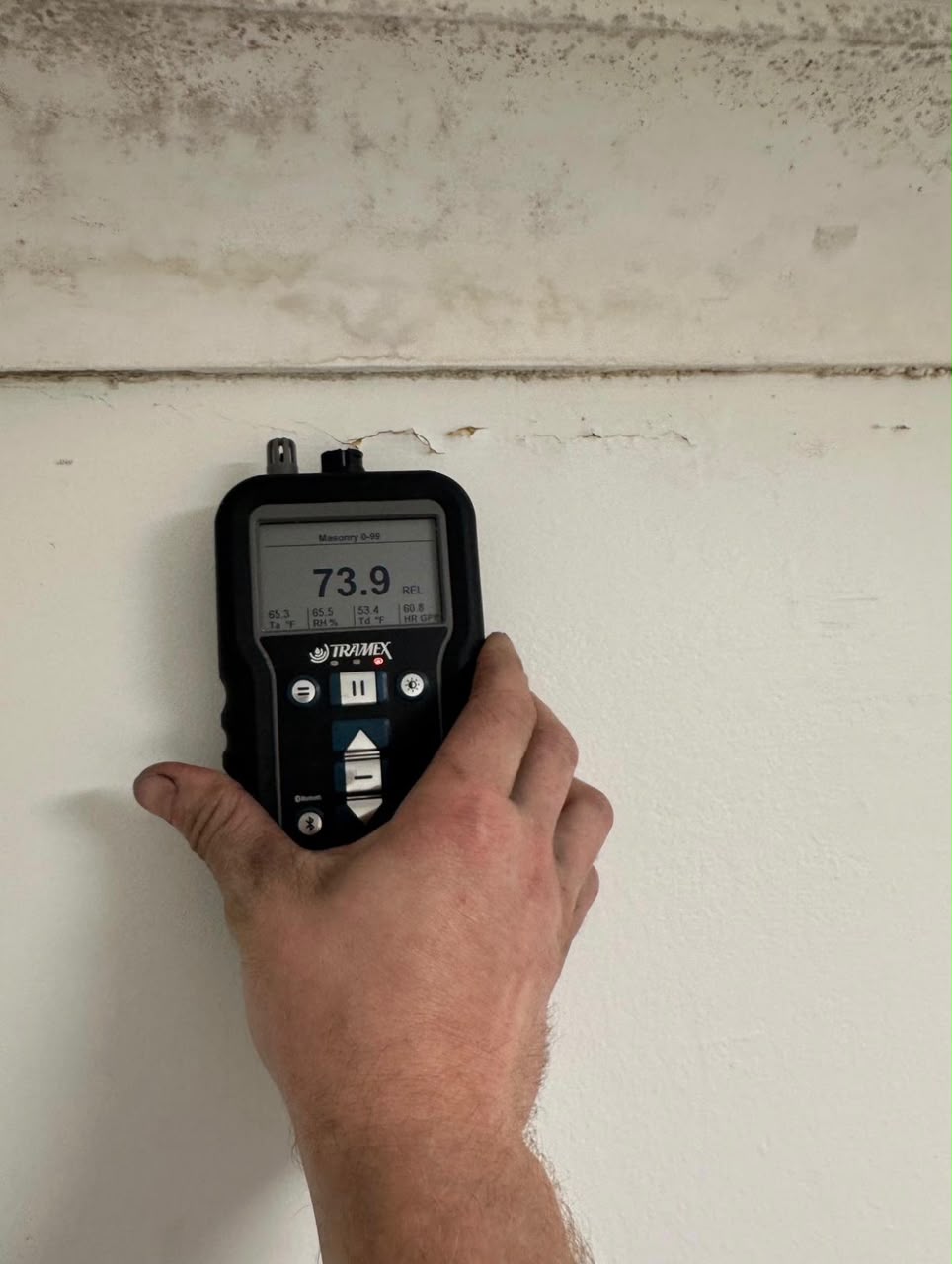 Moisture testing to find the source of mould