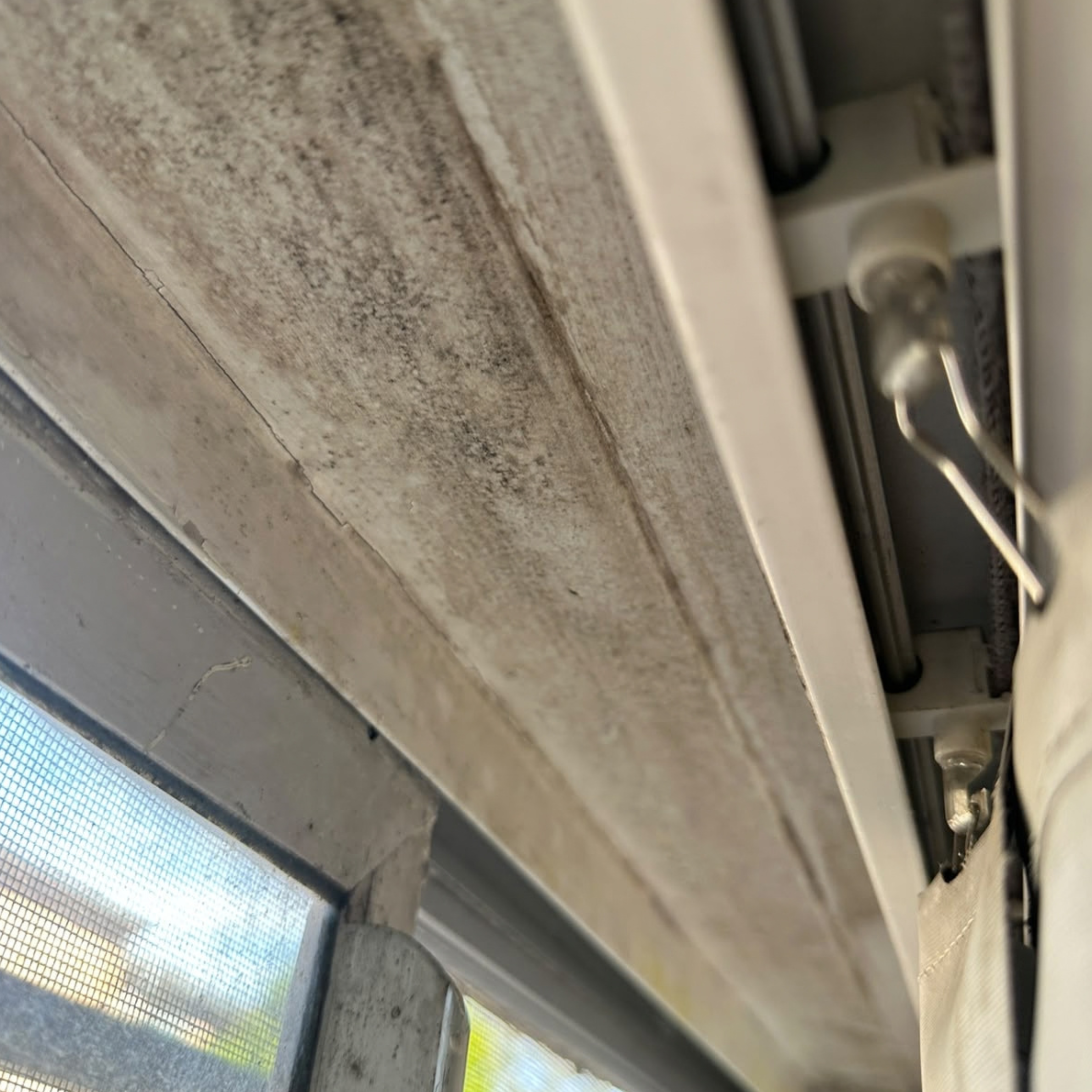 Mould on the head rail of a vertical blind
