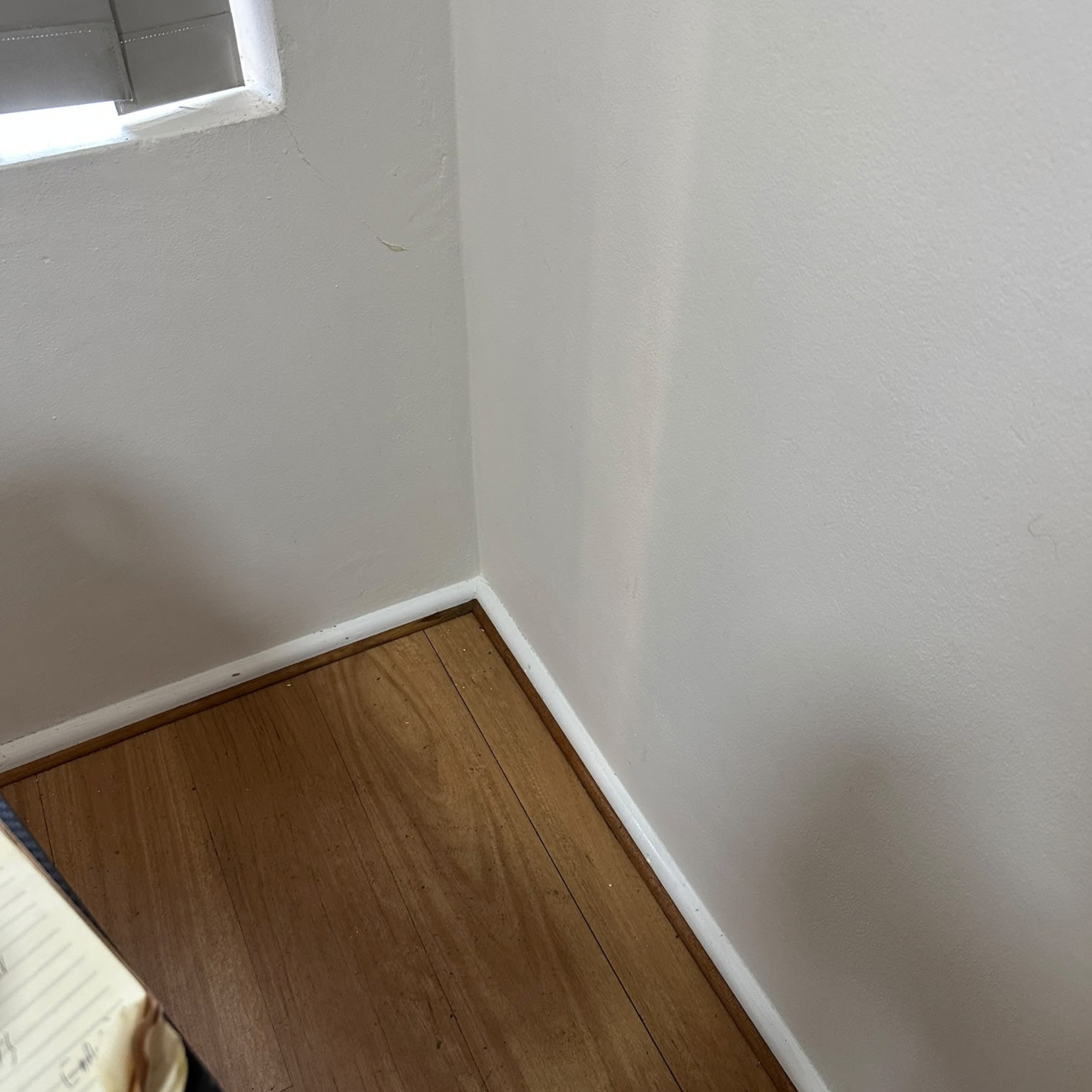 Bedroom wall corner after mould cleaning, Eastlakes unit
