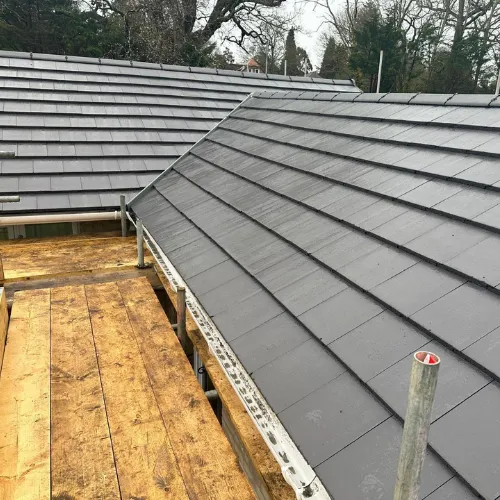 Recent roof project