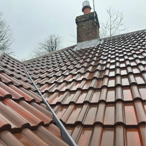 Recent roof project