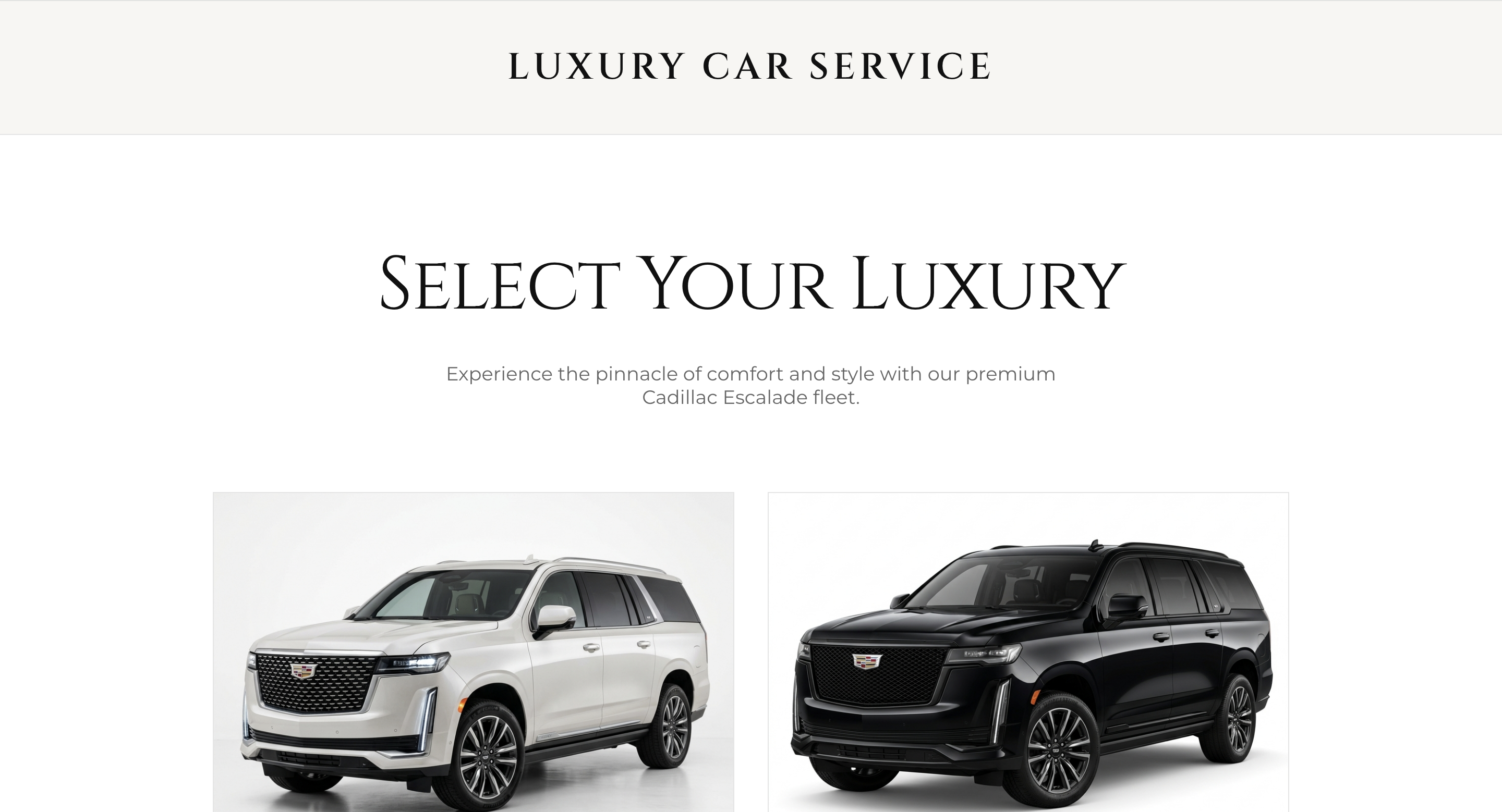 Luxury Car Service
