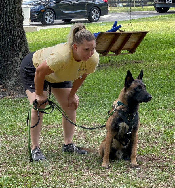 puppy-boarding