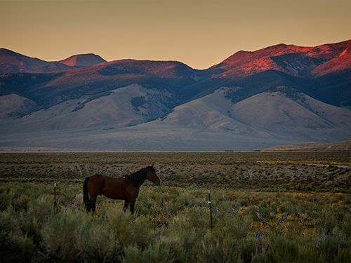 Idaho Worksites and Local Events