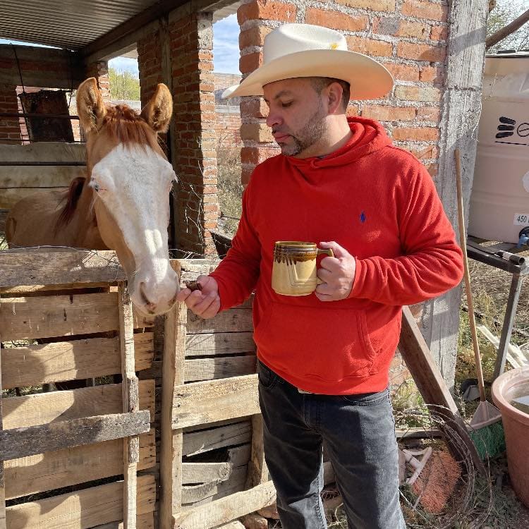 Cabinet Painting Wentzville