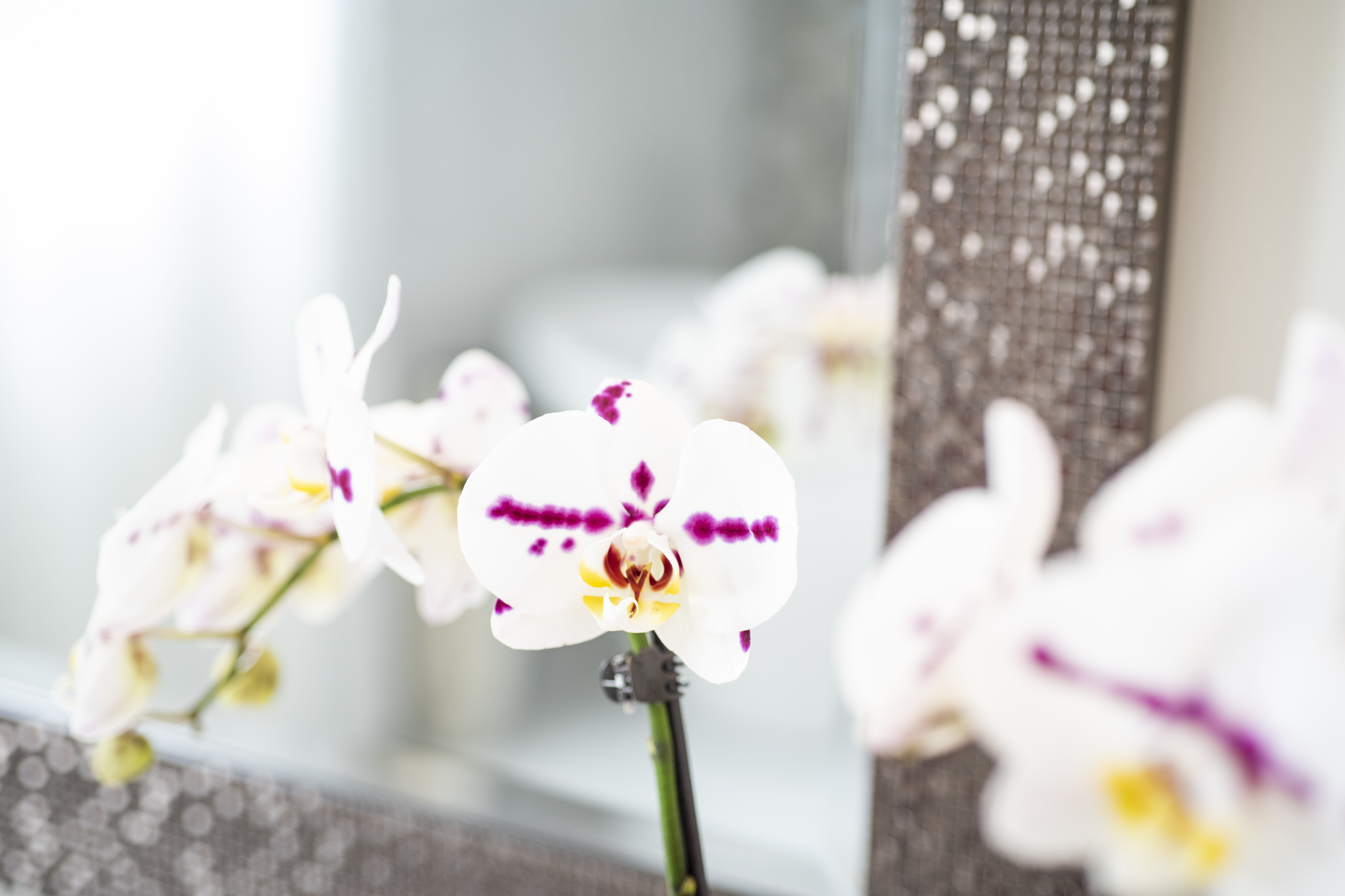 Tudor House Domaine McConnell interior design project in Aylmer photo 19