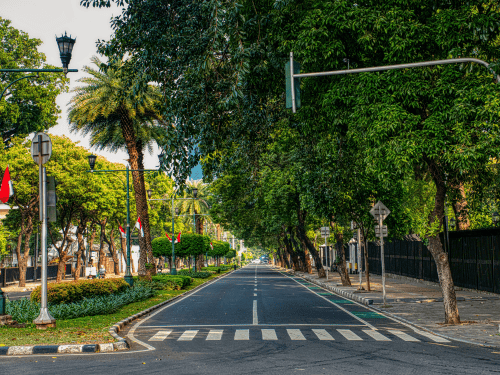 Sidewalks in Stafford