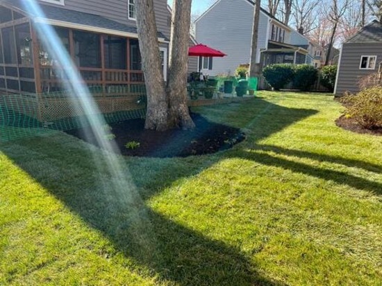 All yard maintenance Stafford