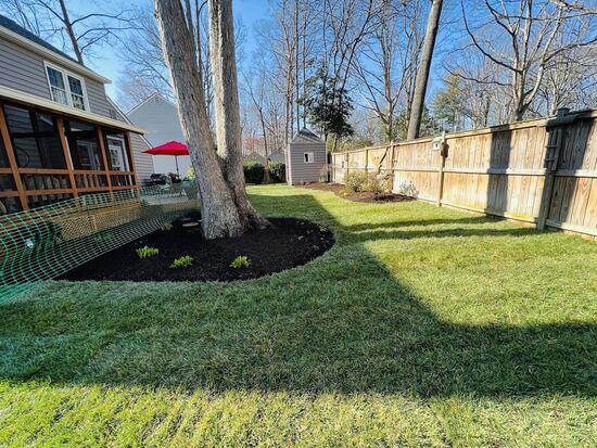 All yard maintenance Stafford