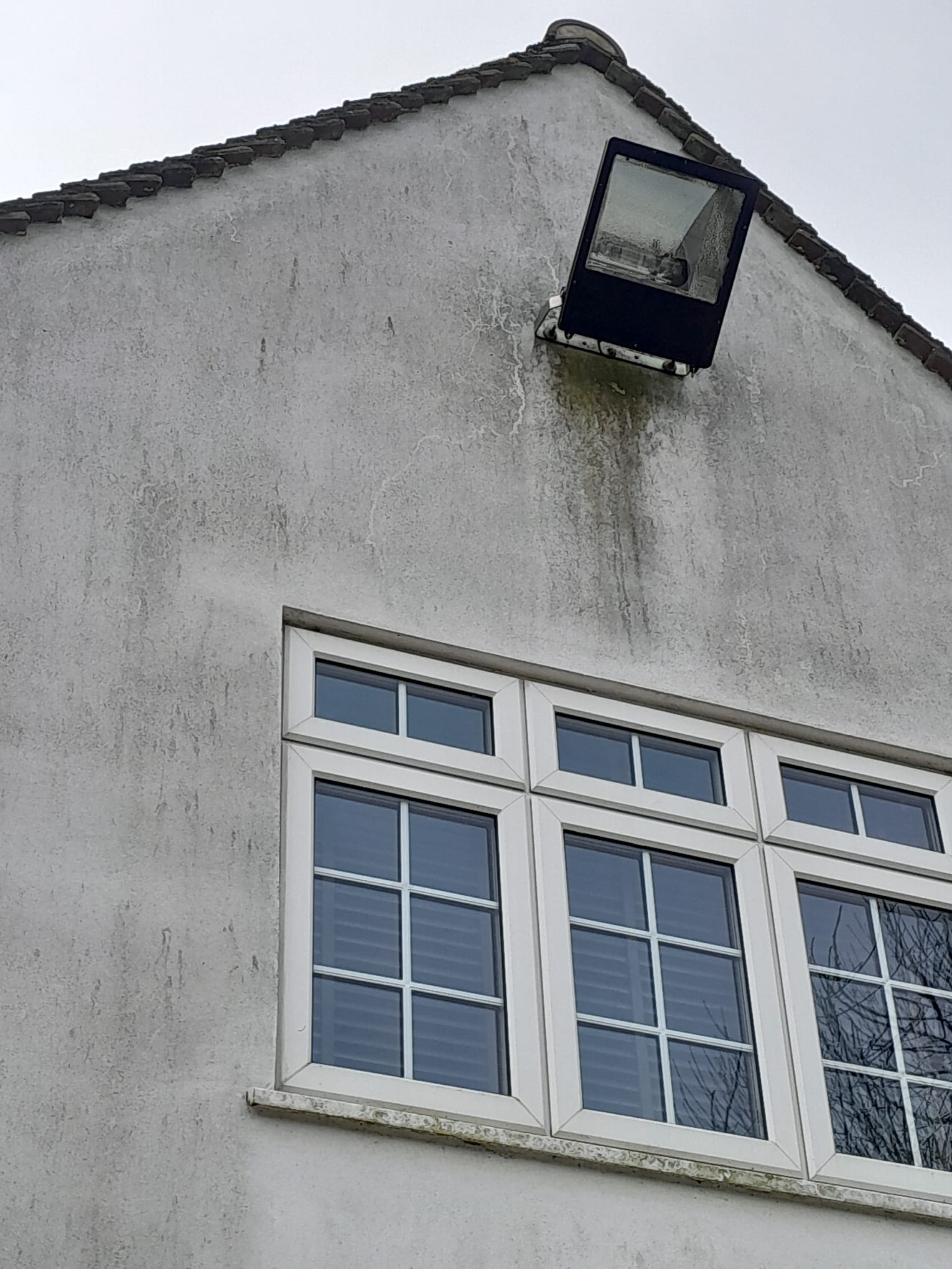 Exterior render contamination before cleaning