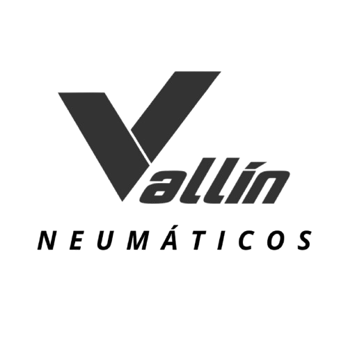 Vallín Neumáticos