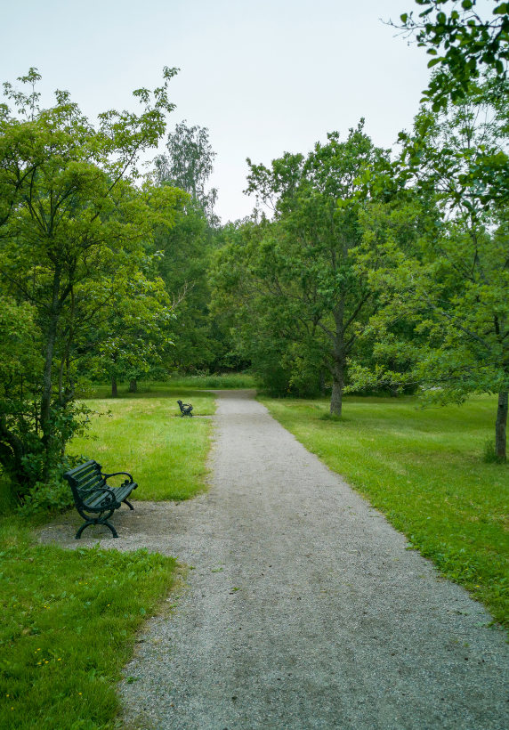 Odrzavanje zelenila