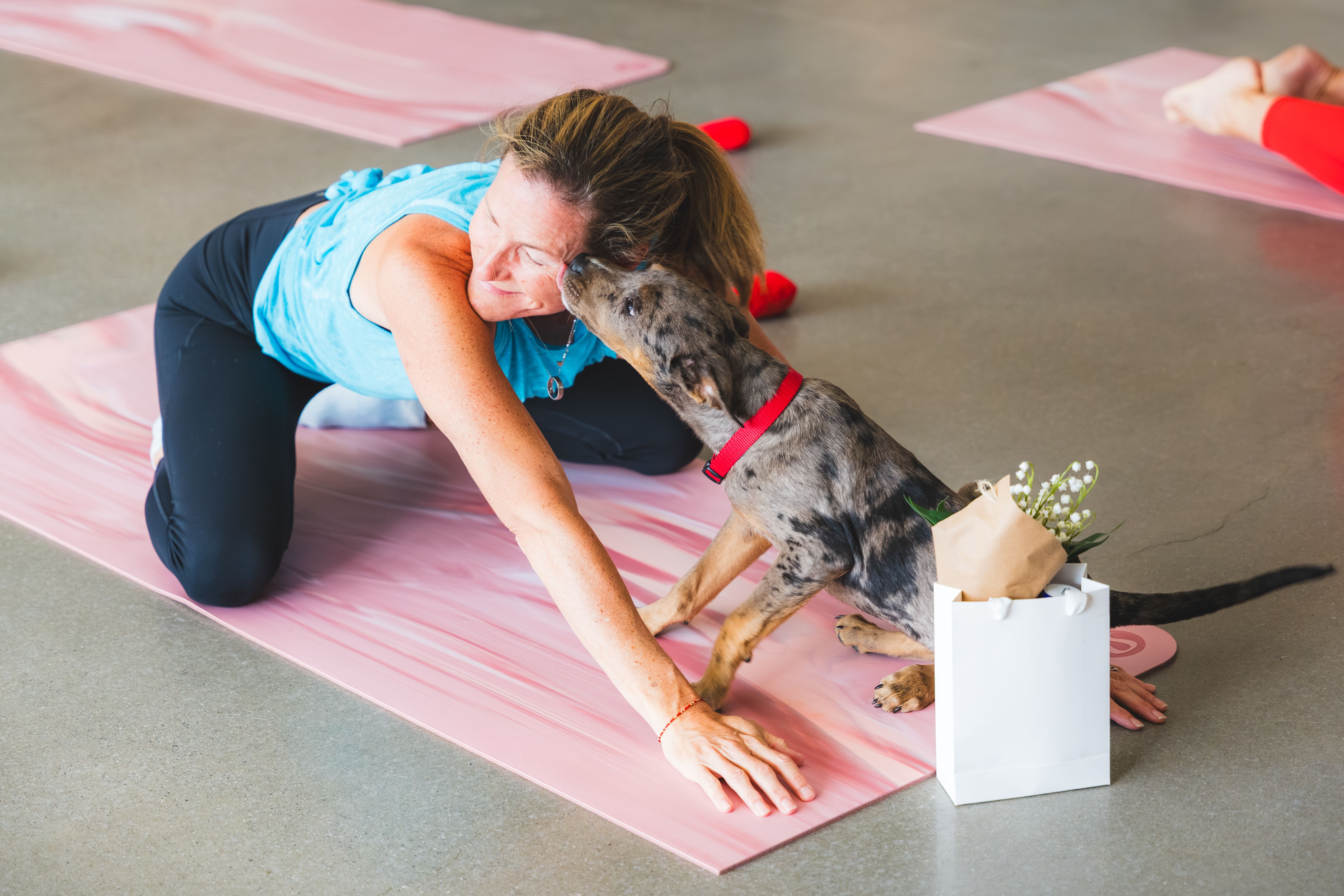Puppy yoga at Atlanta Humane Society