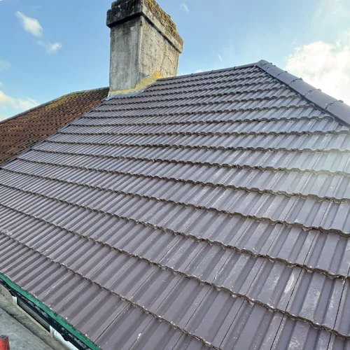 Recent roof repairs project