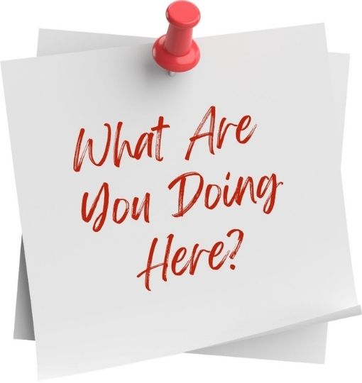 what are you doing here what are you doing here