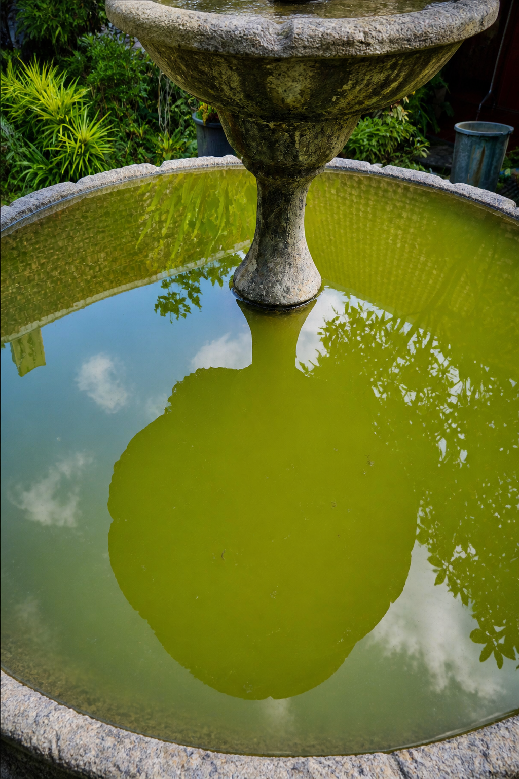 Casper Water Feature & Pond Care