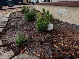 {{ custom_values.service_3 }} in {{custom_values.area_3})