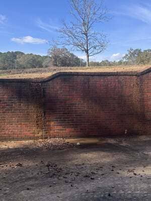 {{ custom_values.service_3 }} in {{custom_values.area_3})