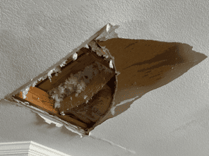 {{ custom_values.service_4 }} in {{custom_values.area_1})