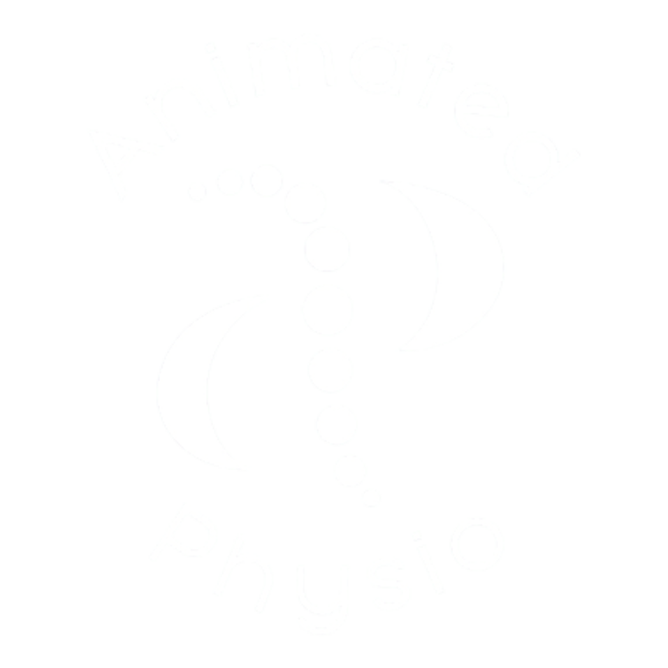 Studio Pilates background