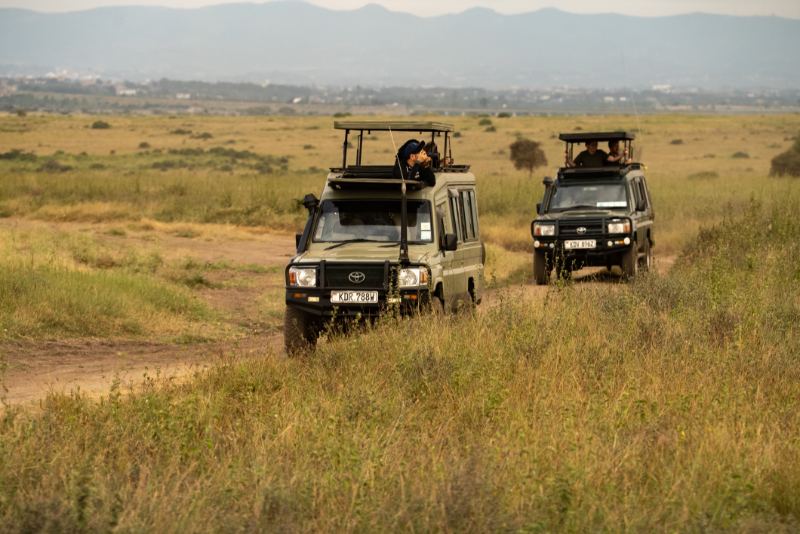 Safari vehicles on a group trip in Africa