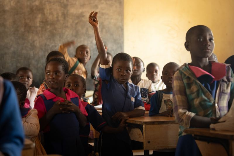 Students raising hands