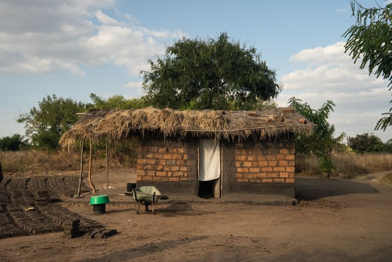 Thatched roof home