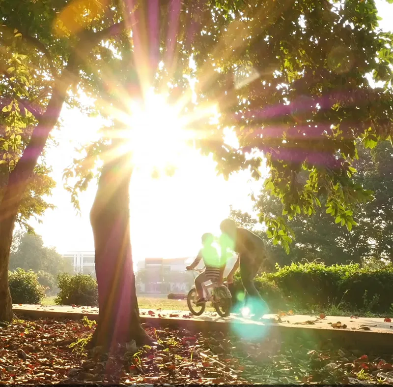 Introducing Vellore Trails