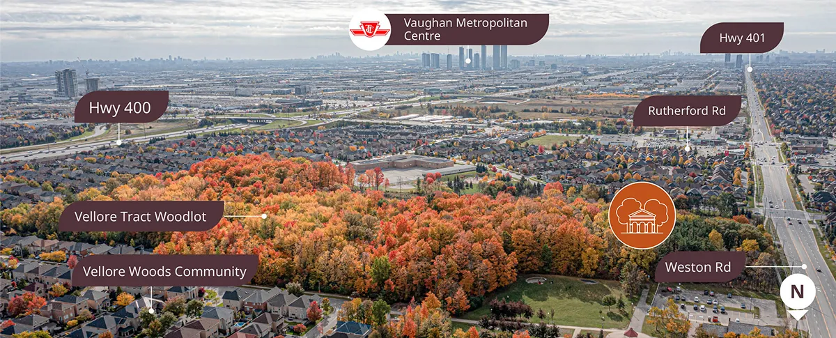 Location & Neighbourhood