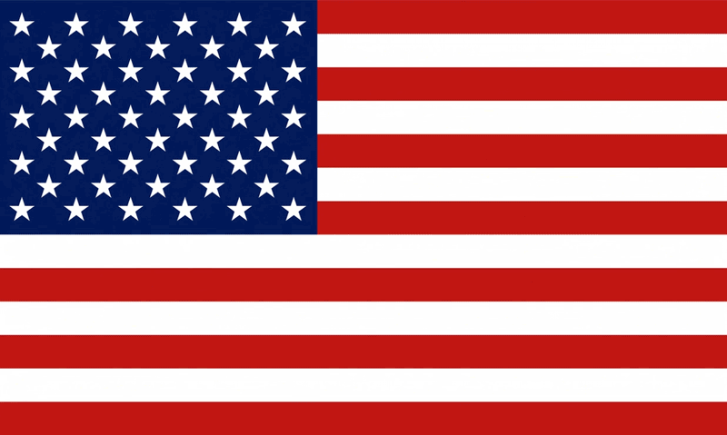 Dallas flag
