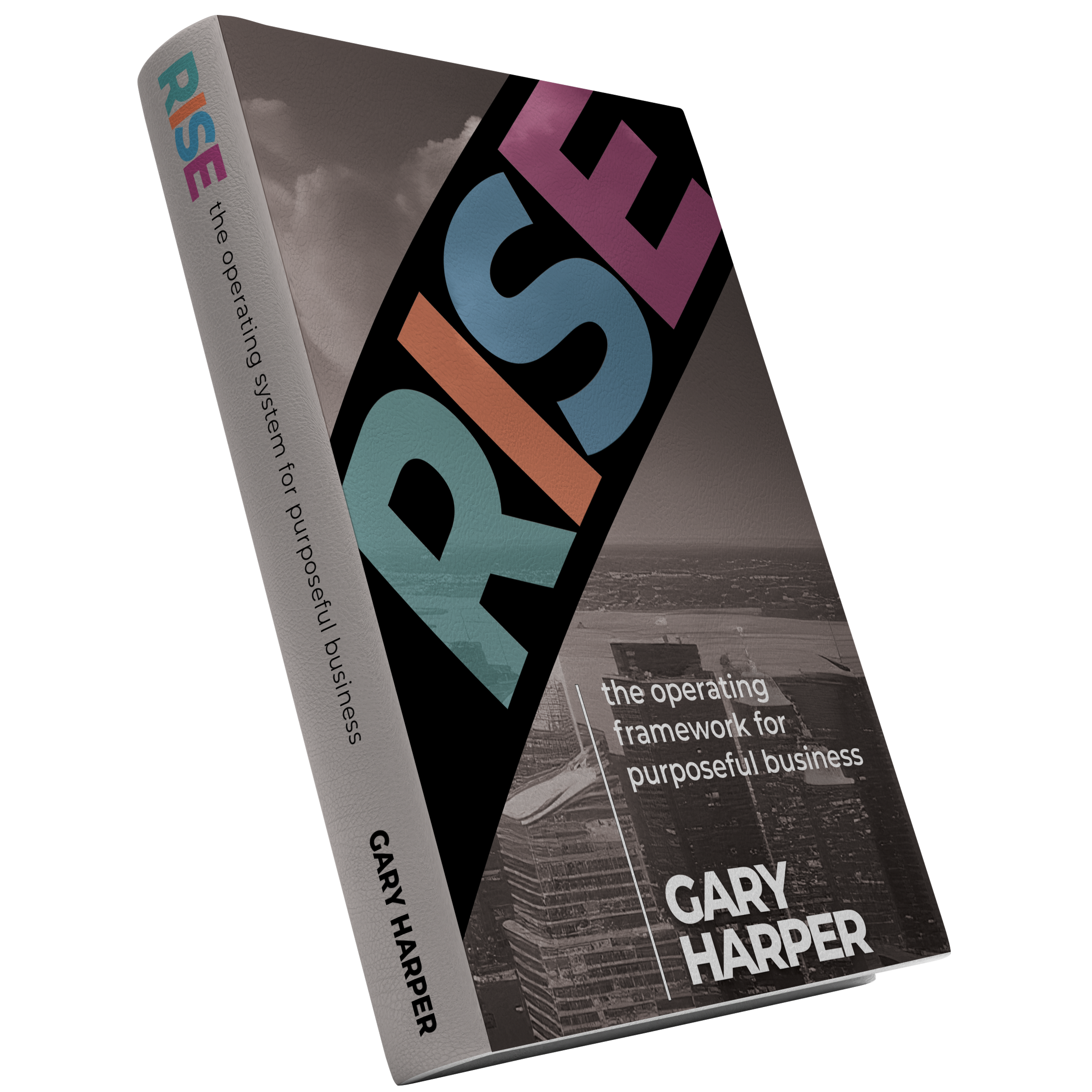 RISE Business Framework Book