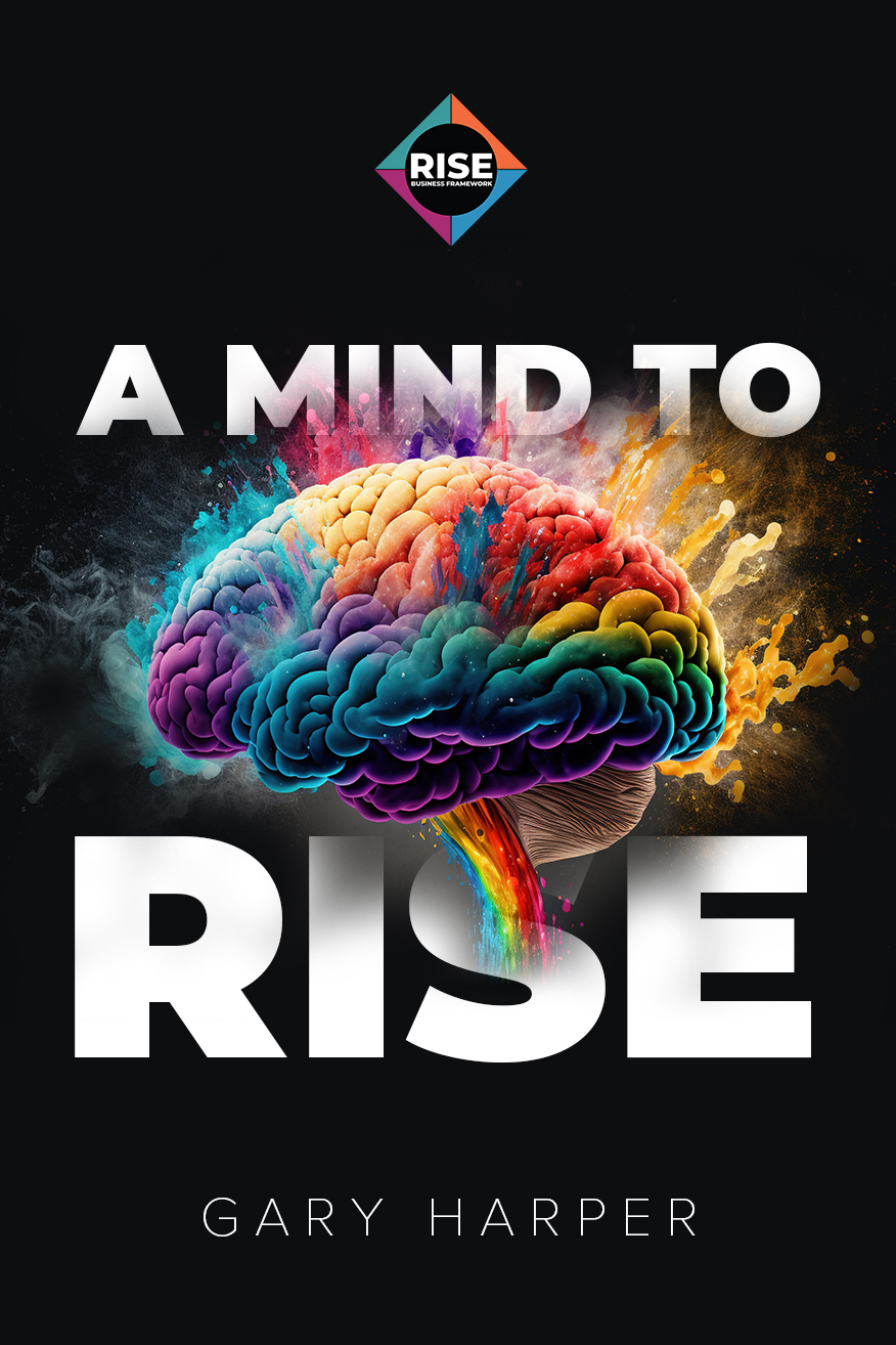 RISE Business Framework Book