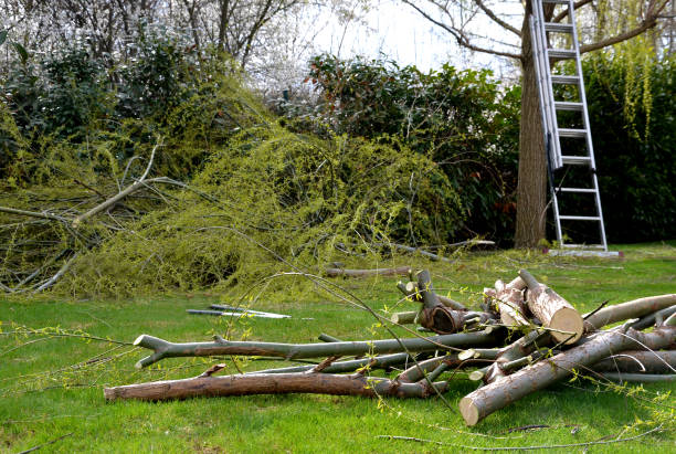 Hickory Heights Land and Tree Services  