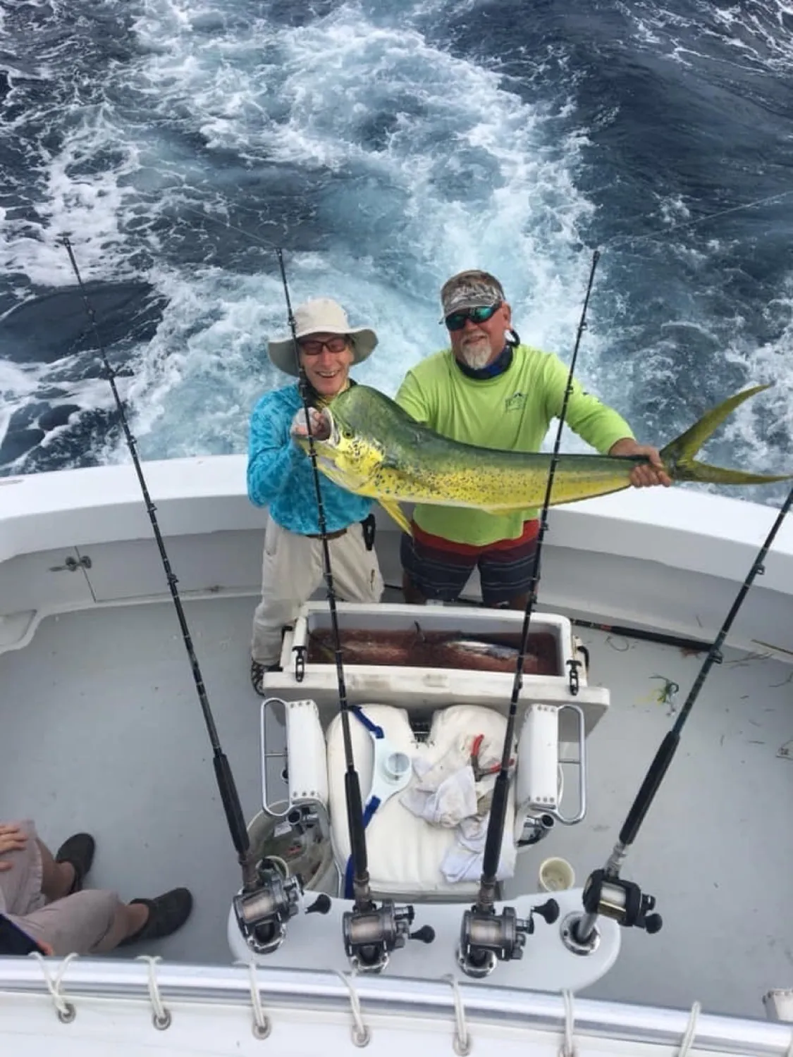 Mahi-Mahi