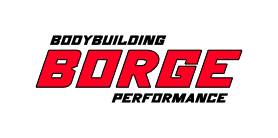 Borge Logo