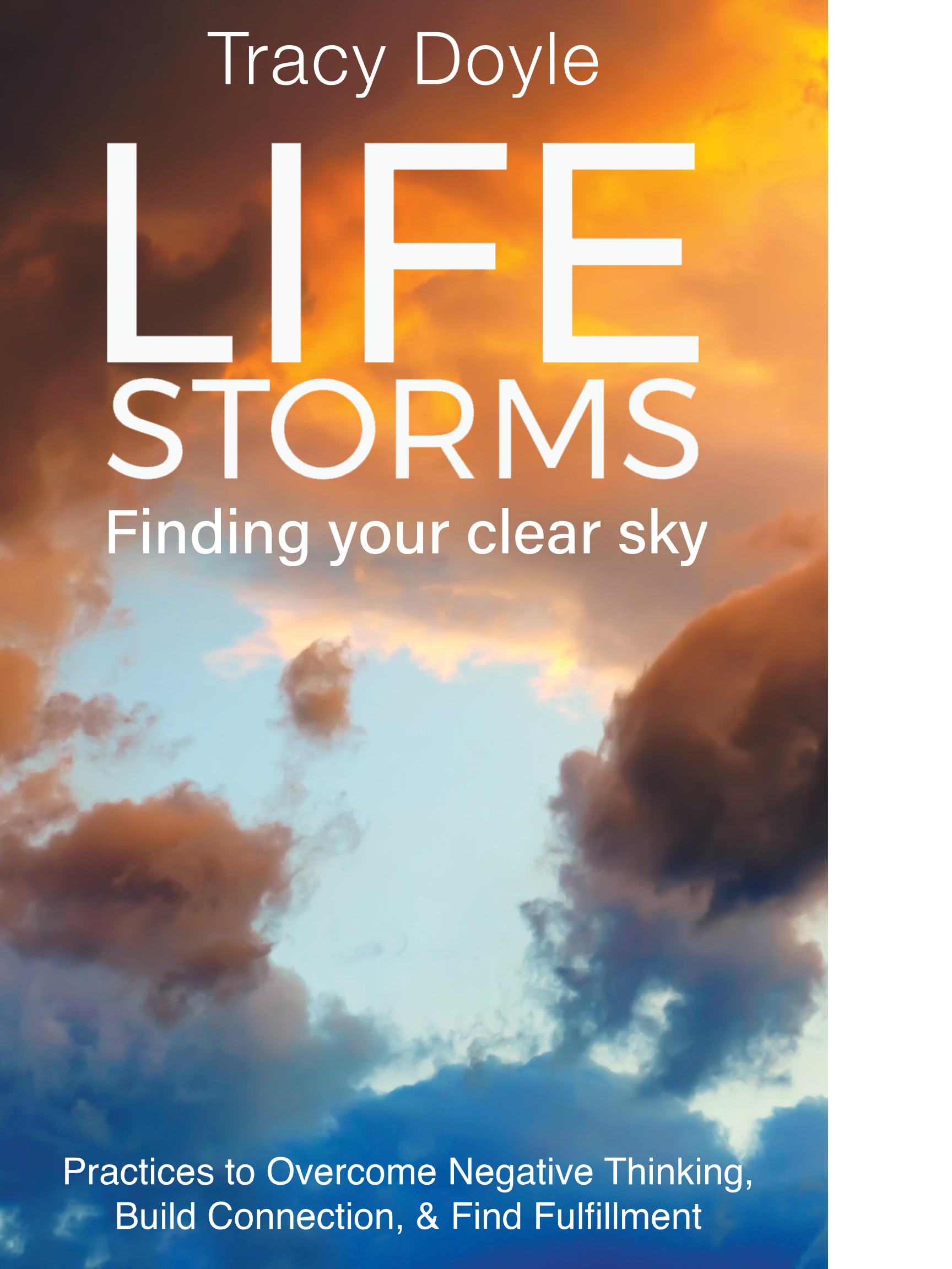 Life Storms book