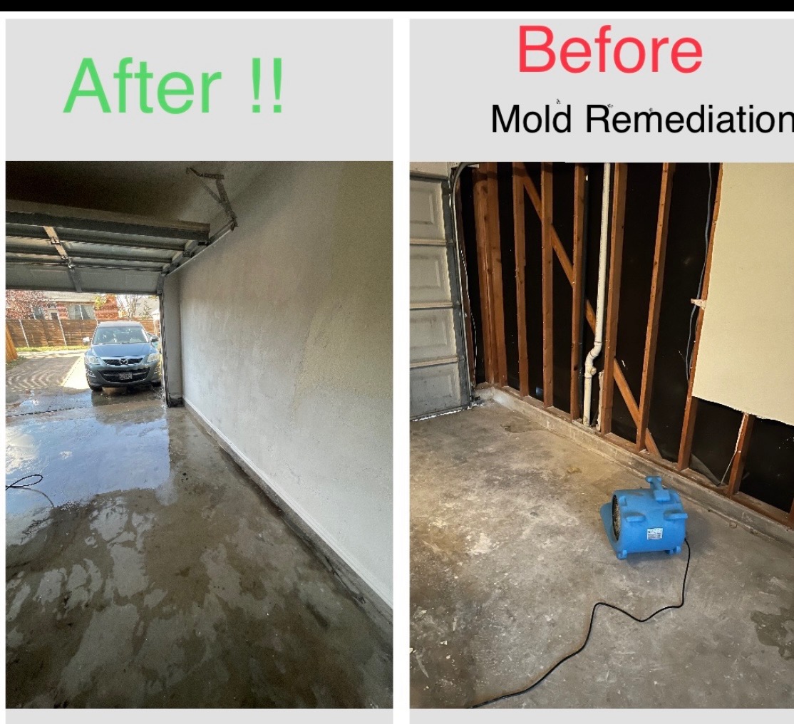 Water Restoration & Remediation project photo