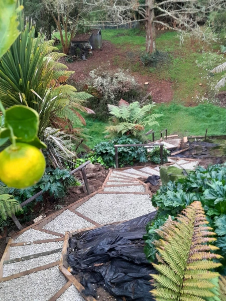 Expert landscaping services Hamilton residential property