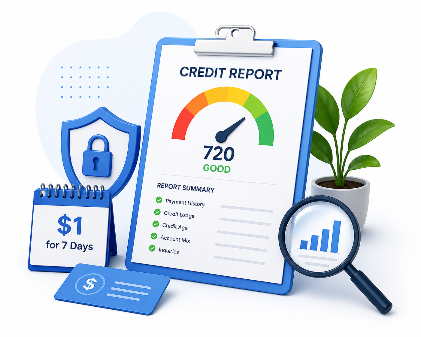 Credit Report Graph