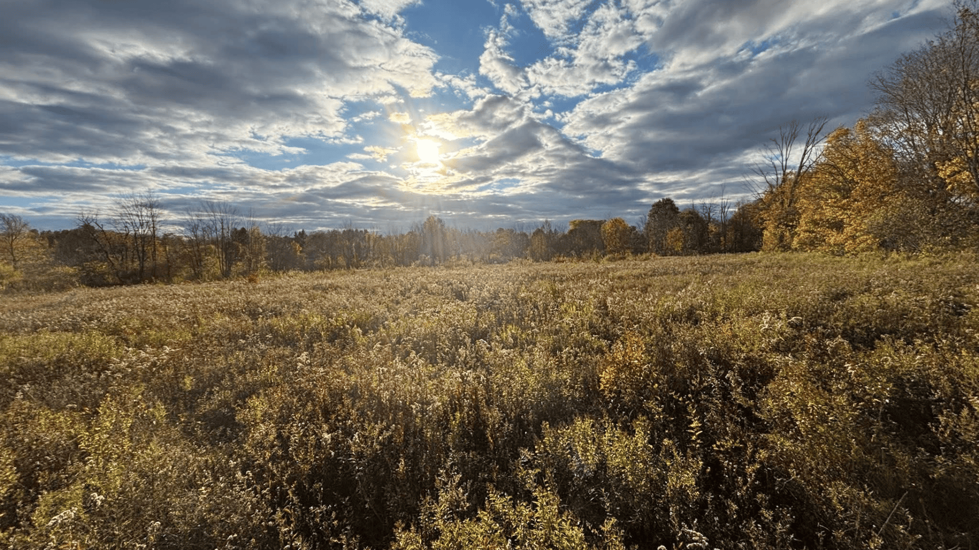 Spring Clean Up Watertown