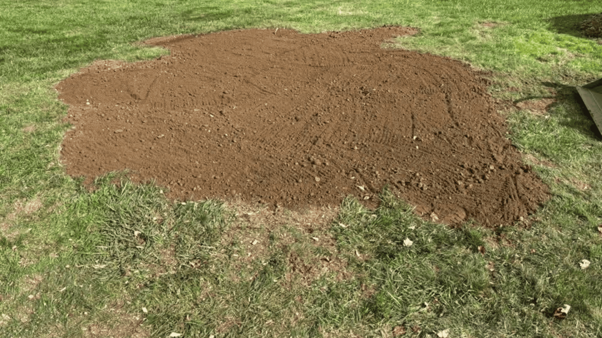 Fall Clean Up Watertown