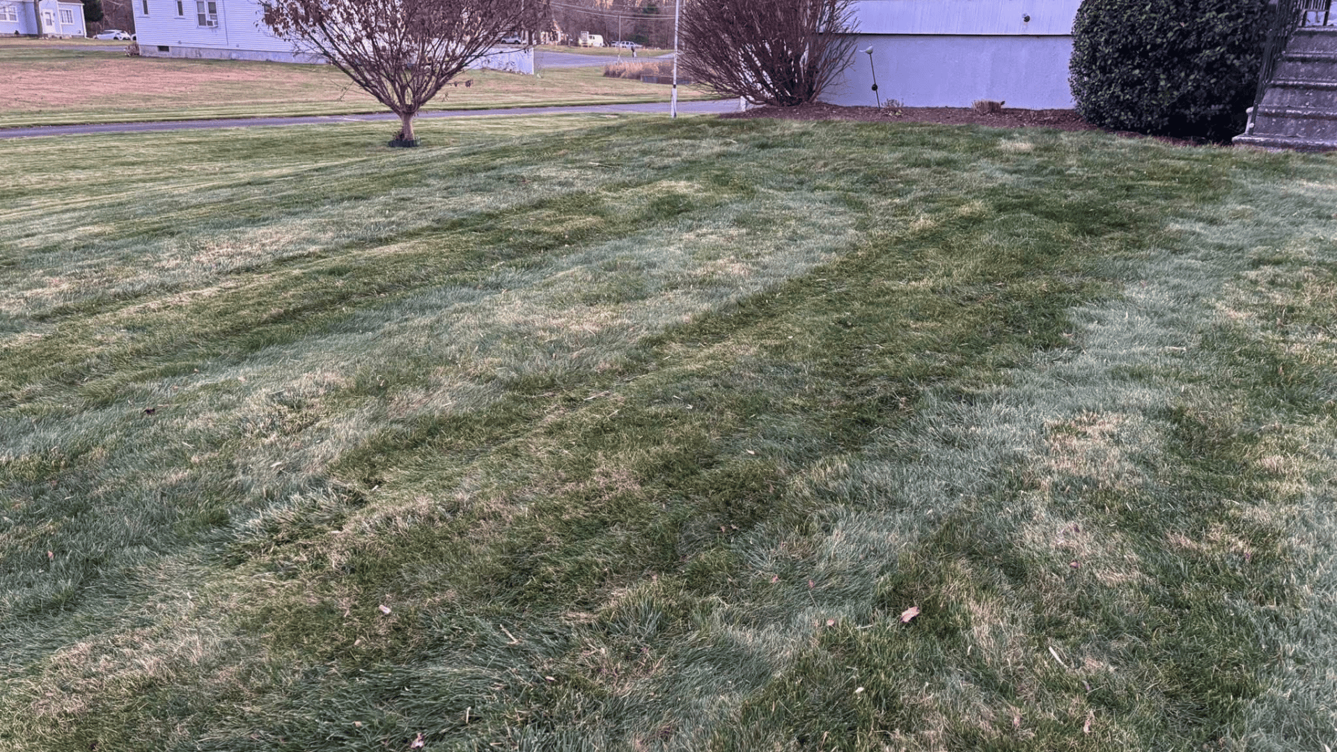 Stump Grinding Watertown