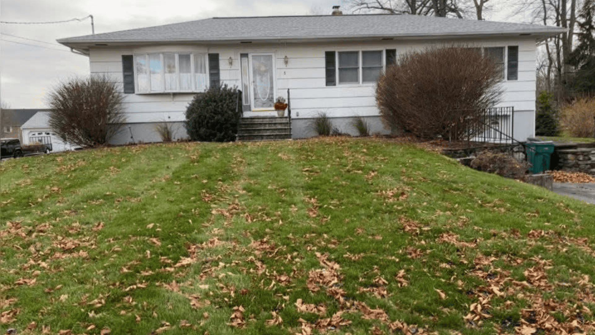 Lawn Care Watertown