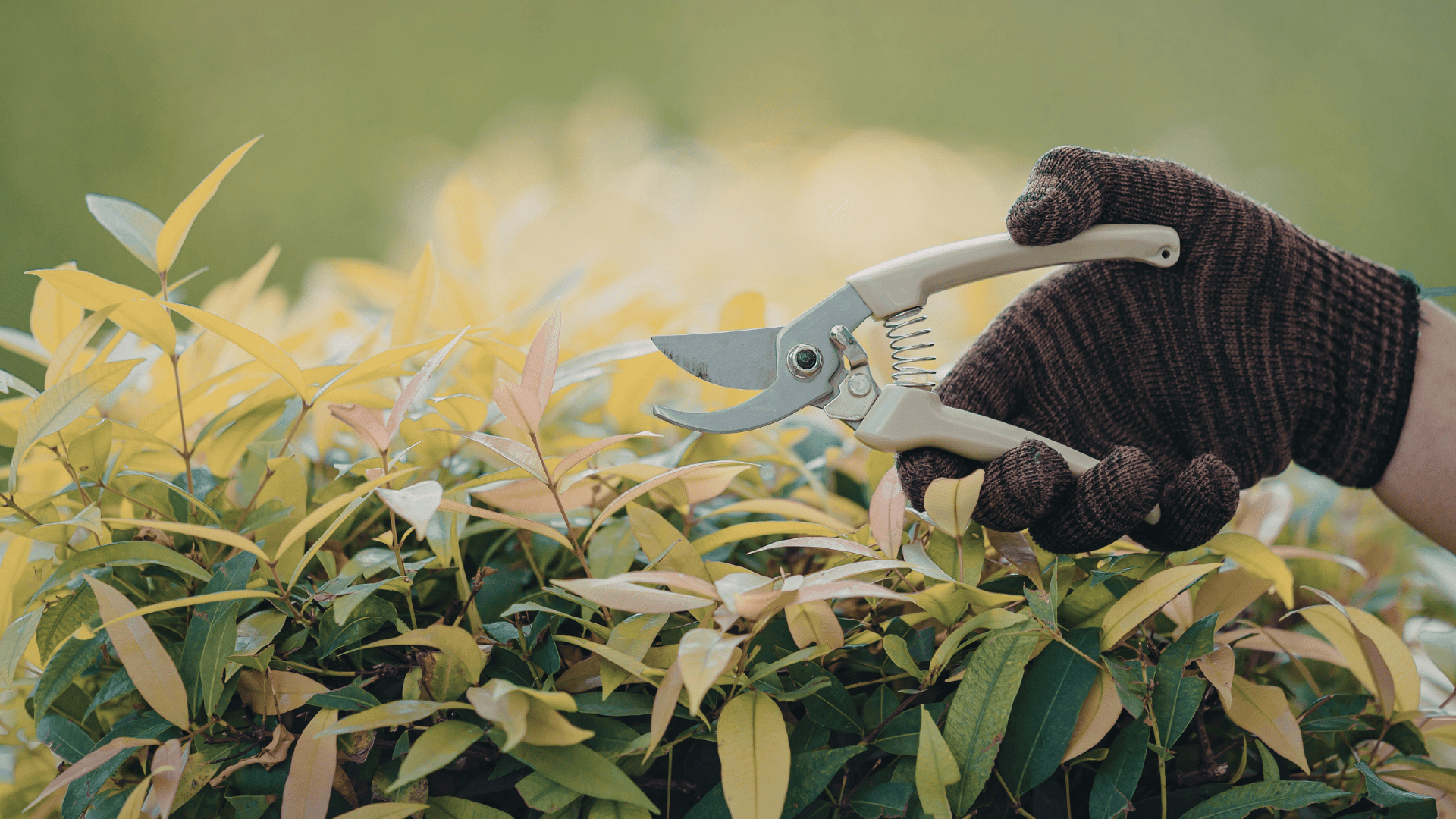 Litchfield Lawn Care