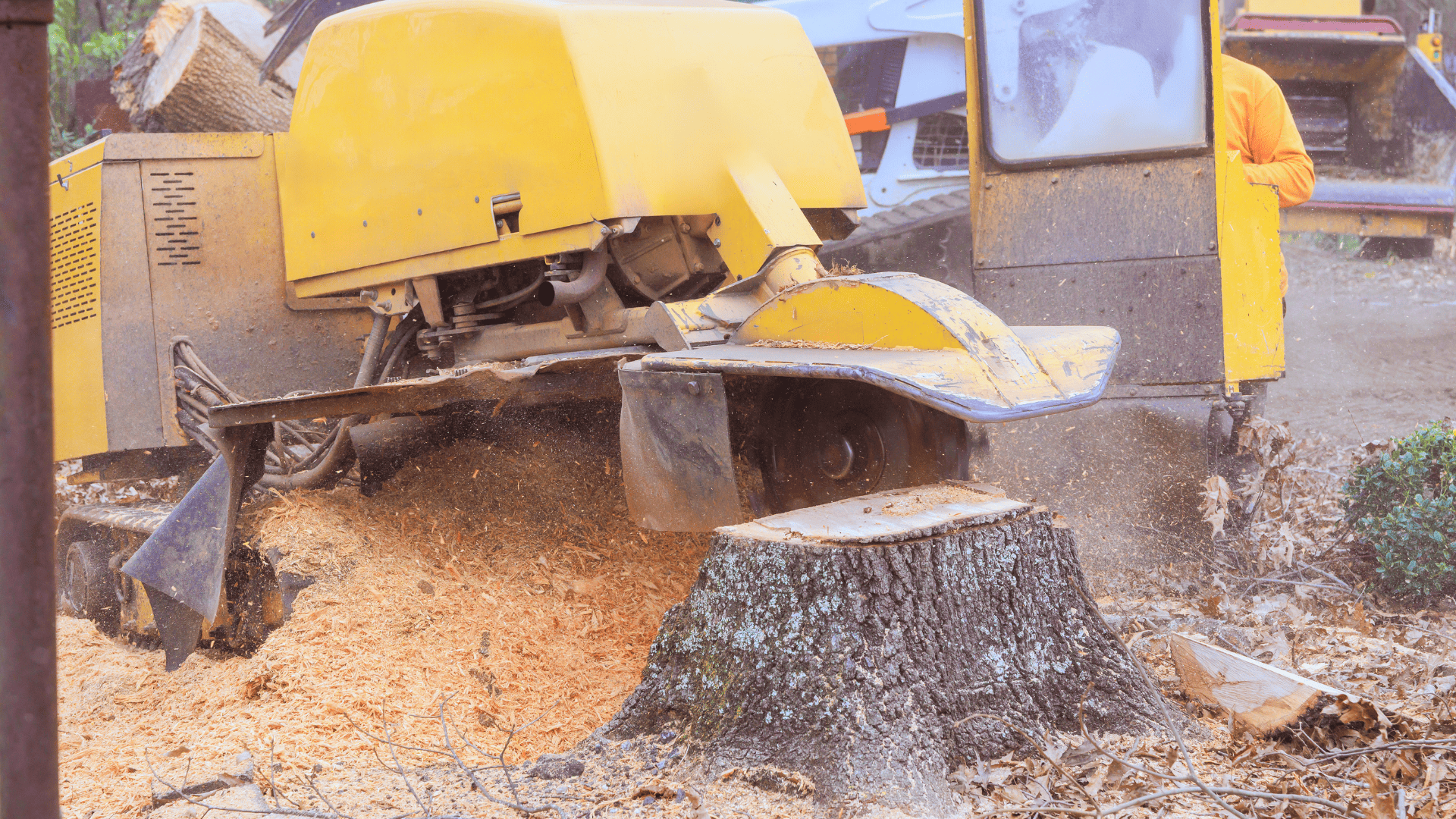 Litchfield Stump Grinding