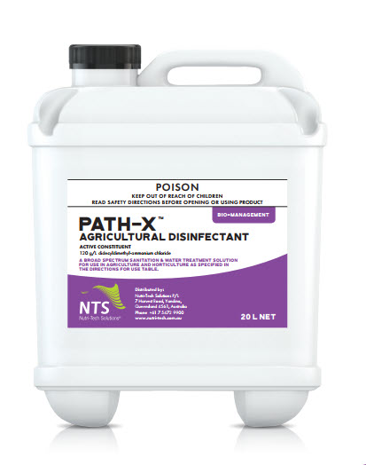 Path-X image