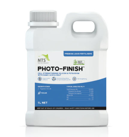 Photo finish image