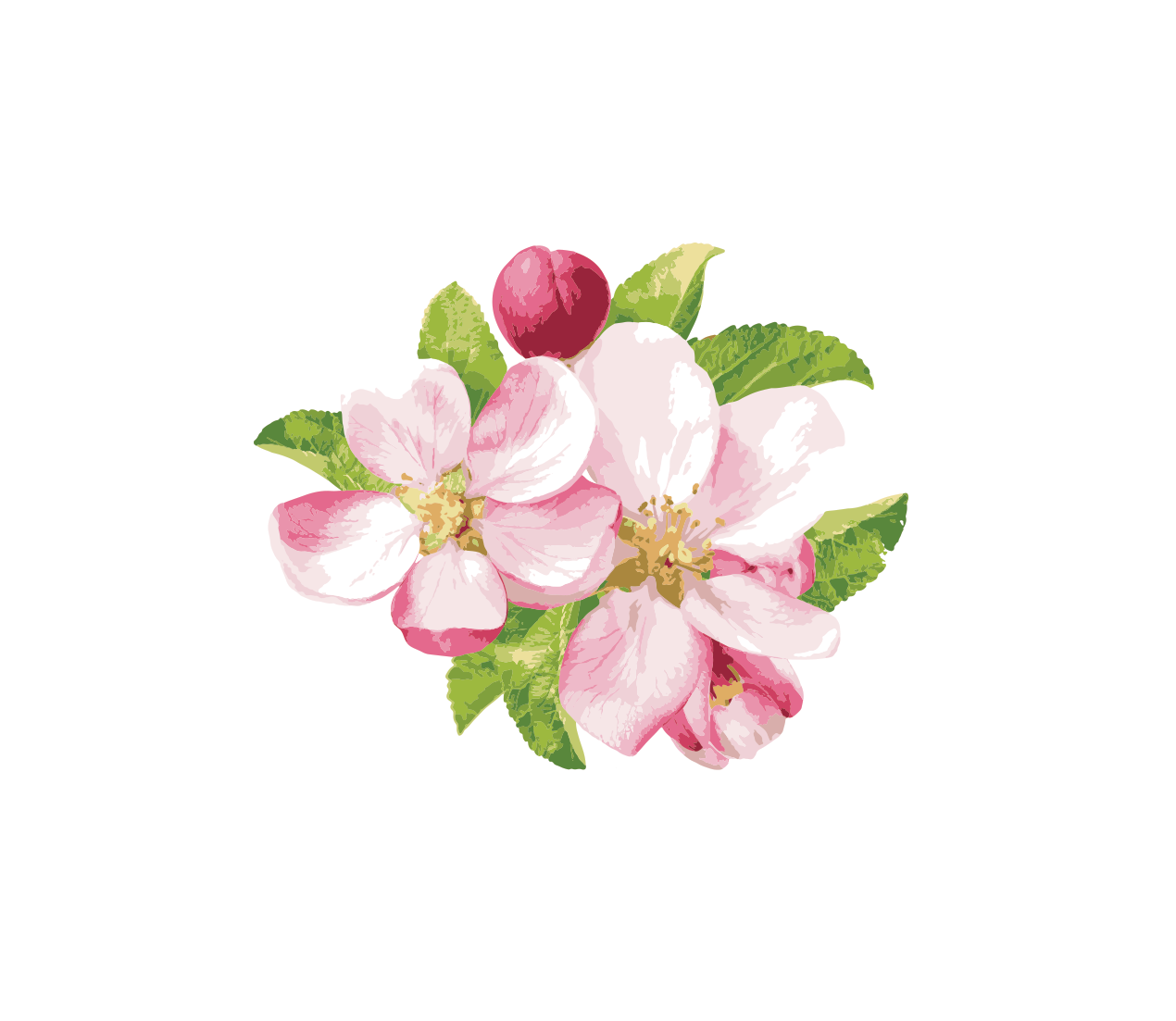 Gardening Girls Canberra — est. 2016