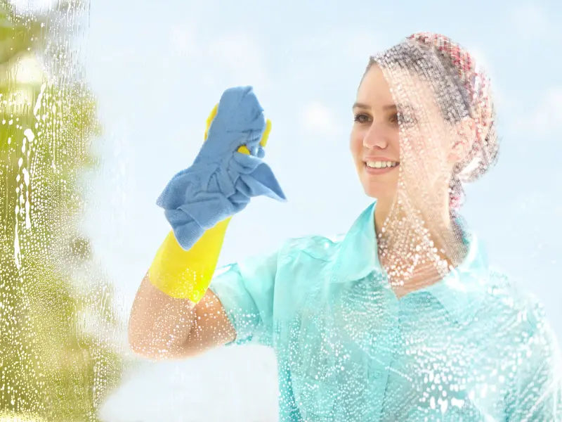 Skylight cleaning service Mahoning Valley