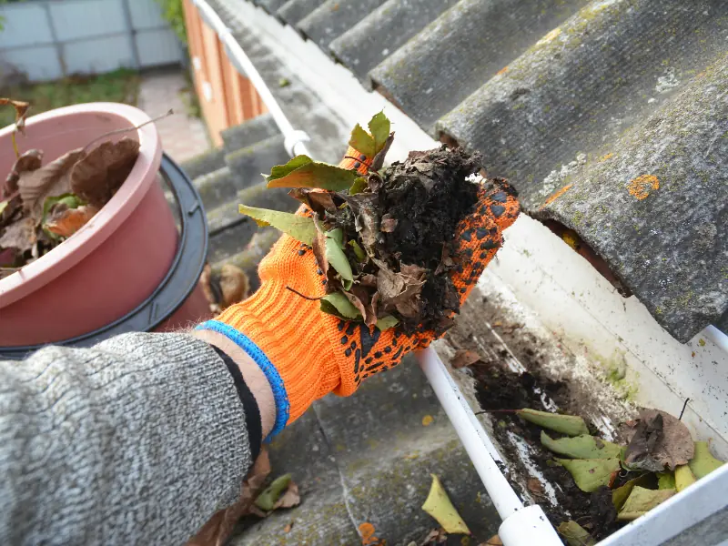 Gutter cleaning Youngstown Ohio